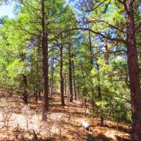 D35 Santa Fe Trail Ranch images 2