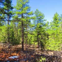 D35 Santa Fe Trail Ranch images 4