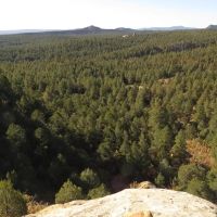 166 Blackhawk Ranch images 5