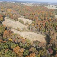 33 Acres in Jackson Co.