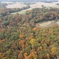 33 Acres in Jackson Co. images 2