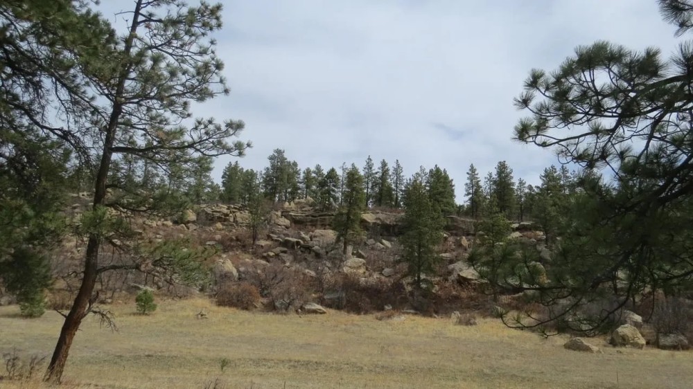 Cimarron Ranch 40 acres featured image
