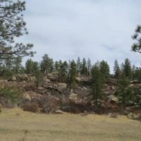 Cimarron Ranch 40 acres
