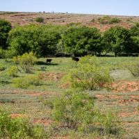 Phillips Estate Ranch images 3