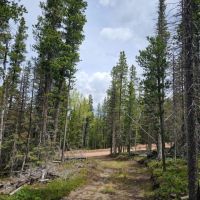 10 Acres Forbes Park images 2