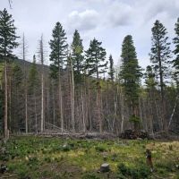 10 Acres Forbes Park images 5