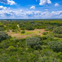 Seale Ranch images 2