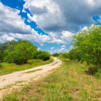 Seale Ranch images 5