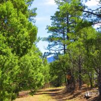 C52 Santa Fe Trail Ranch images 5