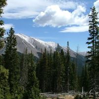 12 Timber Ridge at Cordova Pass