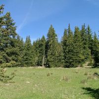 12 Timber Ridge at Cordova Pass images 5
