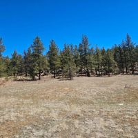 Old Cimarron 40 acres images 2