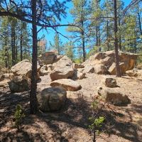 Old Cimarron 40 acres images 3