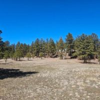 Old Cimarron 40 acres images 4