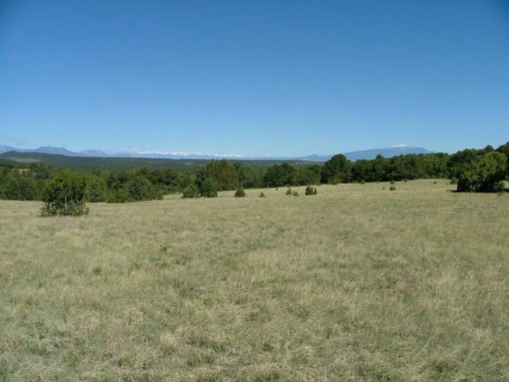 29 Blackhawk Ranch featured image