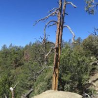 43 DEL AGUA CANYON RANCHES images 4
