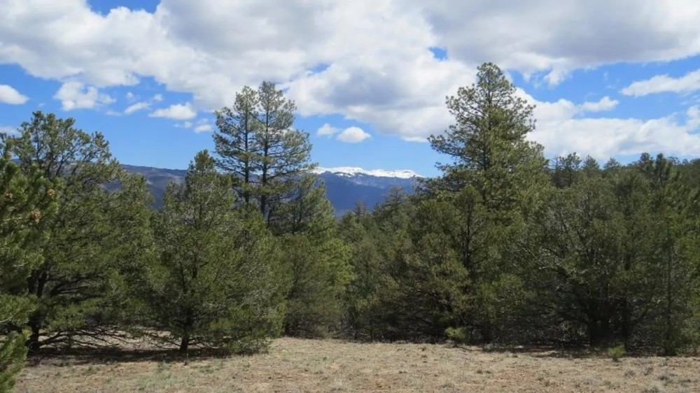 3 Milligan Ranch featured image