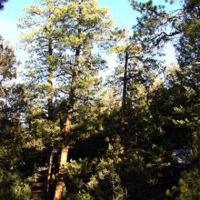 3 Milligan Ranch images 2