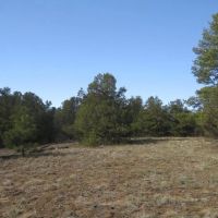 3 Milligan Ranch images 5