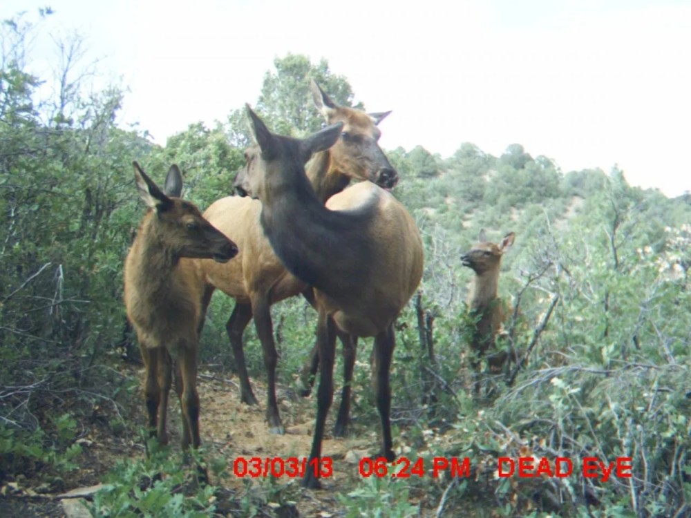 25 Santa Fe Trail Ranch featured image