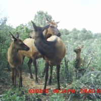 25 Santa Fe Trail Ranch
