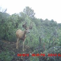 25 Santa Fe Trail Ranch images 2