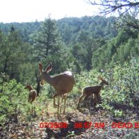 25 Santa Fe Trail Ranch images 4