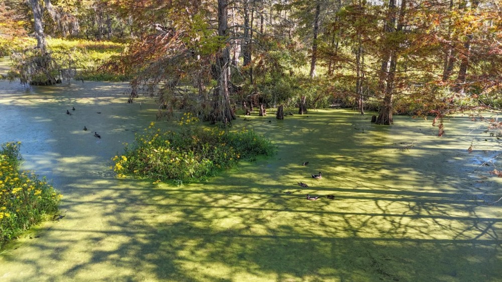 LA - Caldwell 22 acres - featured image