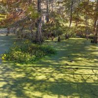LA - Caldwell 22 acres -