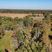 LA - Caldwell 22 acres - images 2