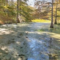 LA - Caldwell 22 acres - images 3