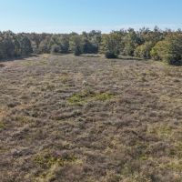 LA - Caldwell 22 acres - images 4