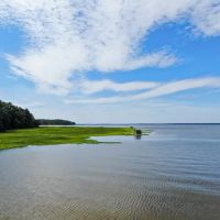 Stonehouse Preserve