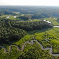 Stonehouse Preserve images 3