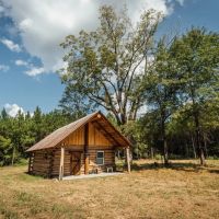 106 Acres with a Cabin in Lamar County Alabama images 2