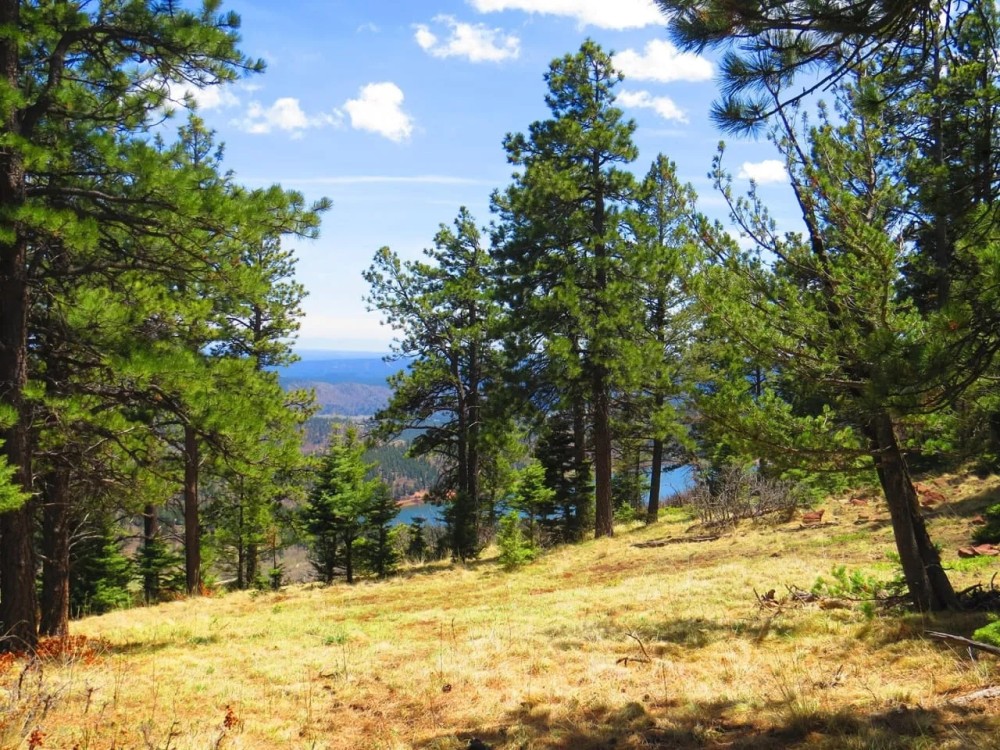 5 The Woods at Monument Lake featured image