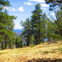 5 The Woods at Monument Lake