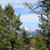5 The Woods at Monument Lake images 5