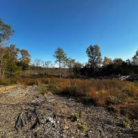 31 - Acres Hunting Land Evening Shade Arkansas images 2