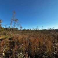 31 - Acres Hunting Land Evening Shade Arkansas images 3