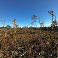 31 - Acres Hunting Land Evening Shade Arkansas images 4