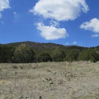 27 Picketwire Ranch images 4