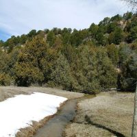 84 Blackhawk Ranch images 4