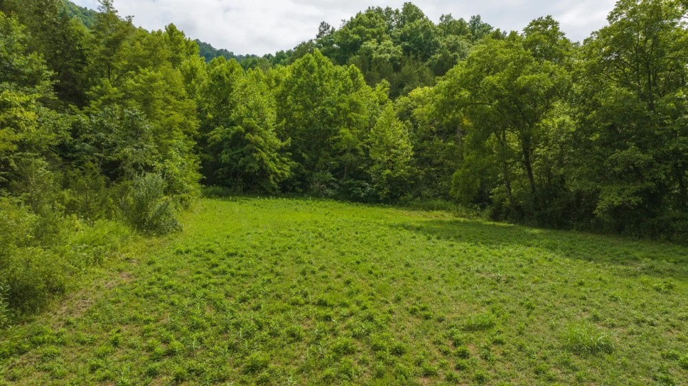 East Tennnesse Hunting Property for Sale Hawkins County featured image