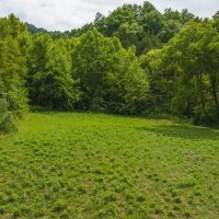 East Tennnesse Hunting Property for Sale Hawkins County