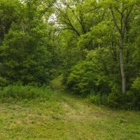 East Tennnesse Hunting Property for Sale Hawkins County images 2