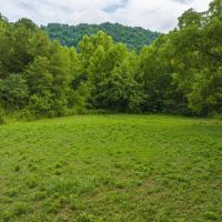 East Tennnesse Hunting Property for Sale Hawkins County images 5
