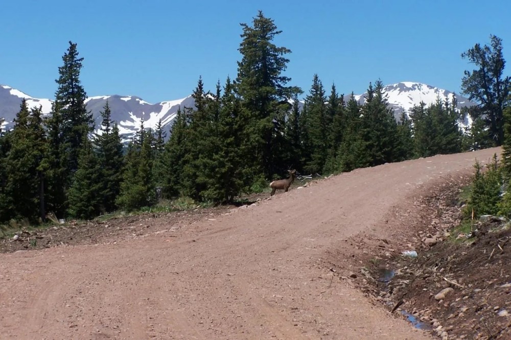 6 Timber Ridge at Cordova Pass featured image