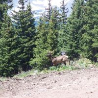 6 Timber Ridge at Cordova Pass images 4
