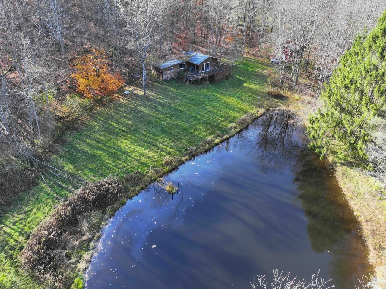 Cabin with Pond and all Amenities on 36 acres in Franklinville NY 2175